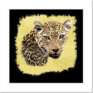 Leopard - Big Cat - Cat - Africa Posters and Art